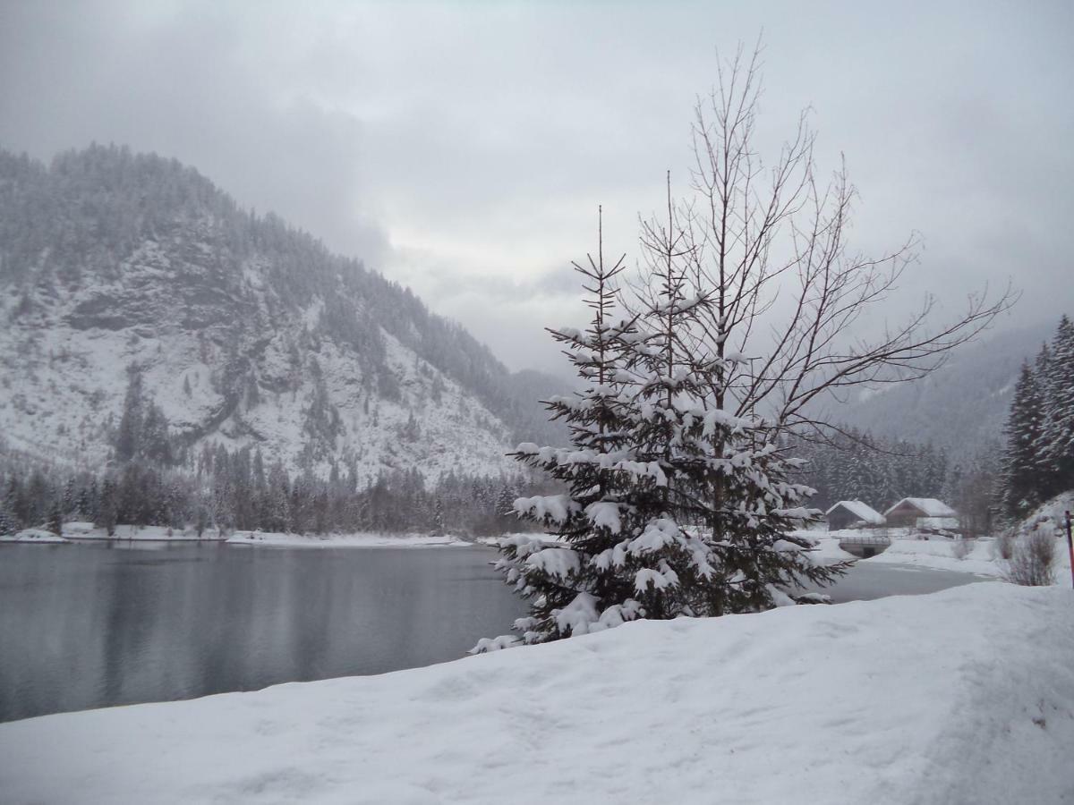 Apartment Garconniere Pachler Gosau